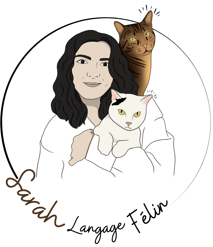 Garde Chat & Comportementaliste Chat | Sarah Langage Félin | Amiens Garde Chat & Comportementaliste Chat | Sarah Langage Félin | Amiens