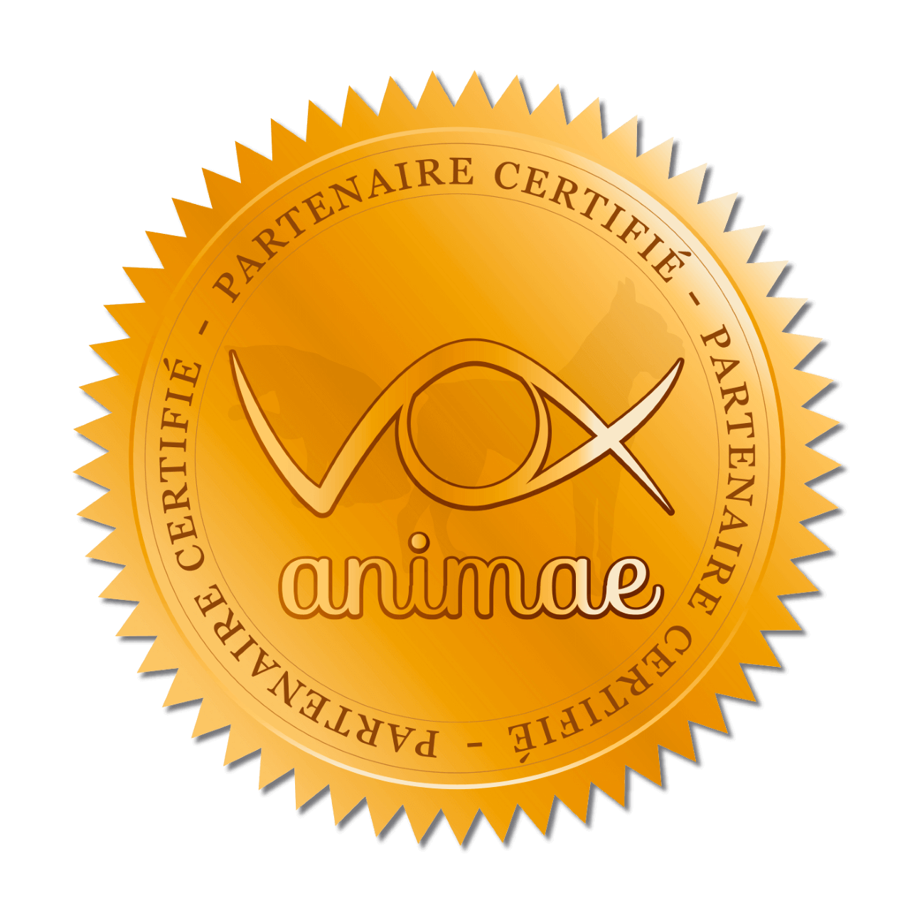 https://sarahlangagefelin.fr/wp-content/uploads/2024/06/badge-partenaire-reseau-vox-animae-21.png